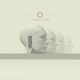 Animals as Leaders Madness of Many album