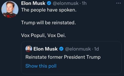 Elon Musk twitter trump poll