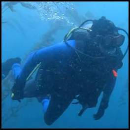 thumbnail Scuba dive La Jolla Cove kelp