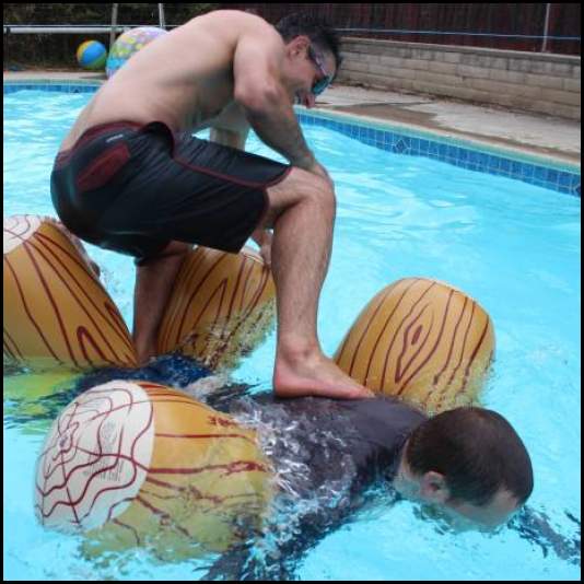 thumbnail Pool volleyball backyard bbq