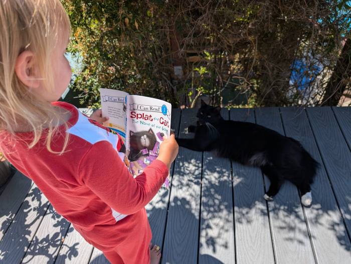 Reading splat the cat to a cat