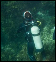 Scuba dive Catalina kelp beds underwater divers