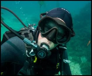 Scuba dive Catalina Island kelp forest underwater diver