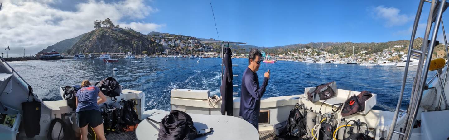 Catalina Island Avalon bay panorama