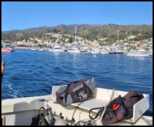 Catalina Island Avalon bay panorama