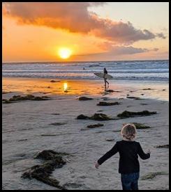 Beach sunset