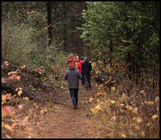 Lewis Creek trail hiking Sierra National Forest