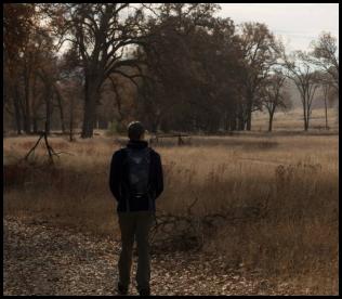 Ahwahnee Hills Regional Park meadow