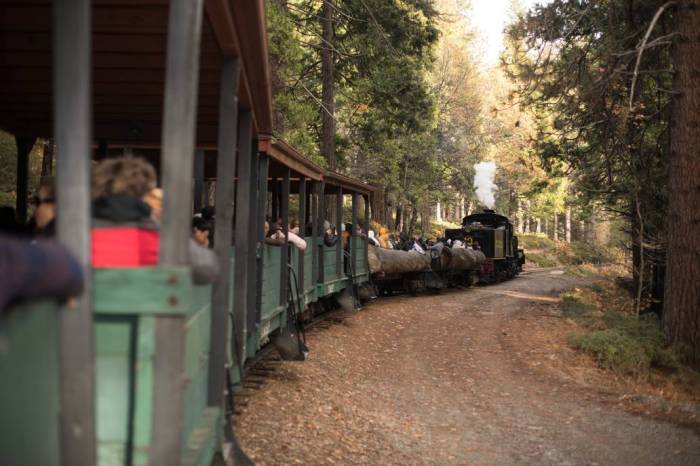 Sugar Pine Railroad