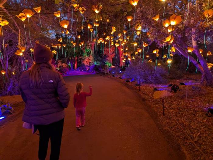 Encinitas botanical gardens holiday lights