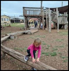 Jester King Brewery Austin playground