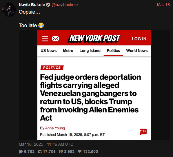 Nayib Bukele tweet oopsie too late New York Post