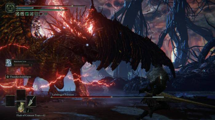 Elden Ring Lichdragon Fortissax combat