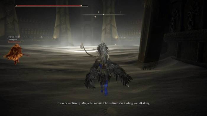 Elden Ring Shadow of the Erdtree Enir-Ilim NPC battle